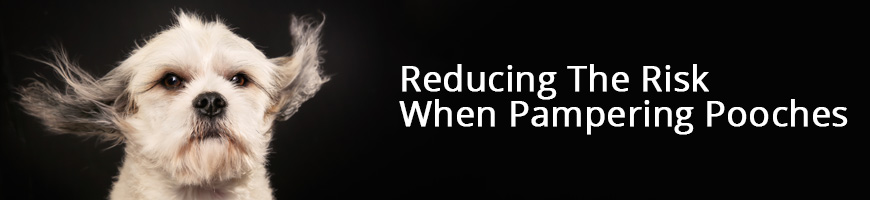 Reducing The Risk When Pampering Pooches – The Dog Groomers Guide