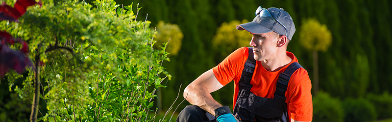 Landscapers and Gardeners Public Liability Insurance