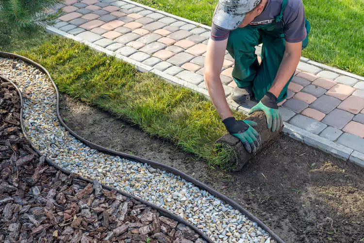 Landscaper rolling out fresh lawn over dirt