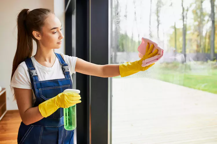 Insured house cleaner cleaning a window