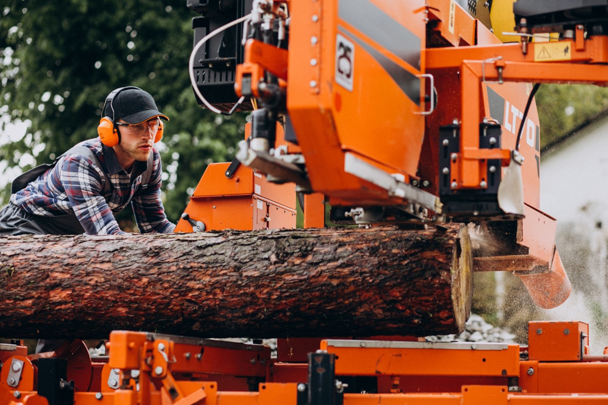 How Much Does Arborist Insurance Cost in Australia?