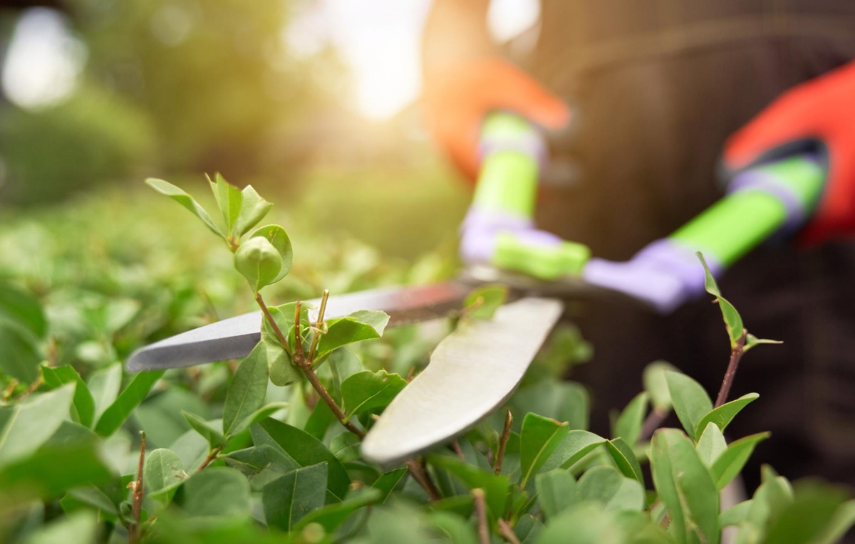 How Much Does Insurance Cost for a Landscaping Business?