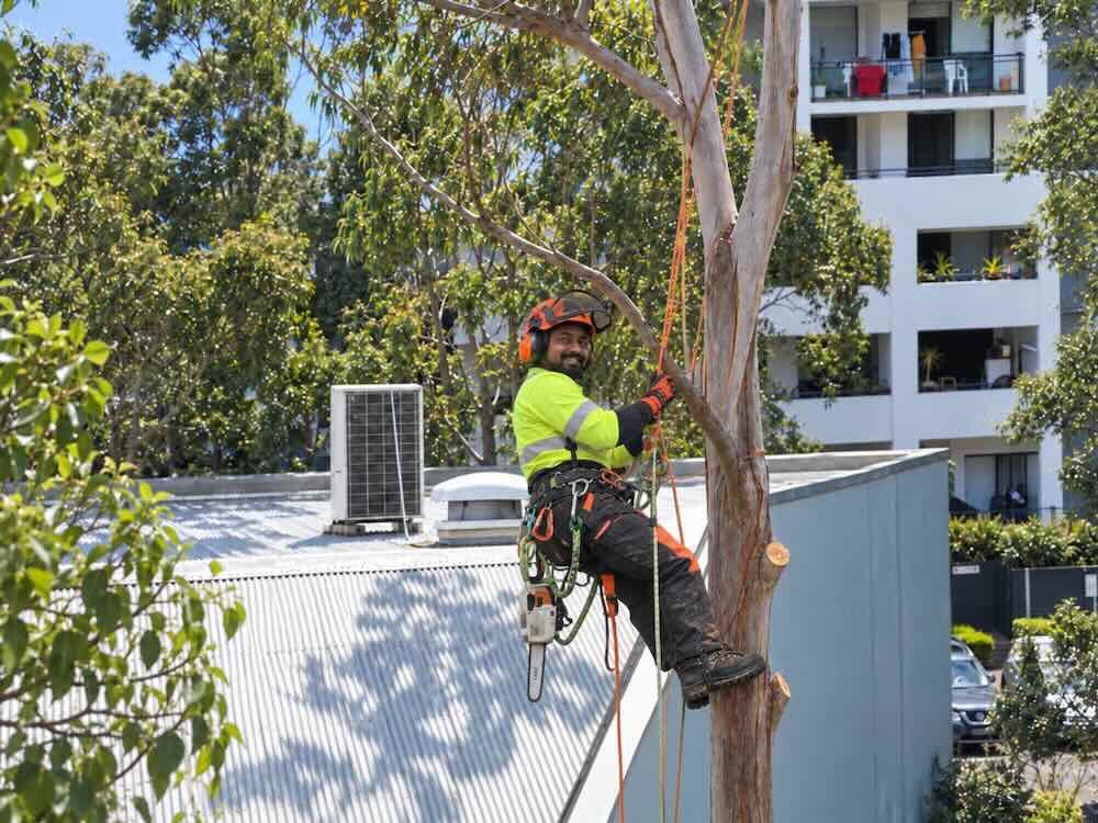 Working Across Different Arborist Sites