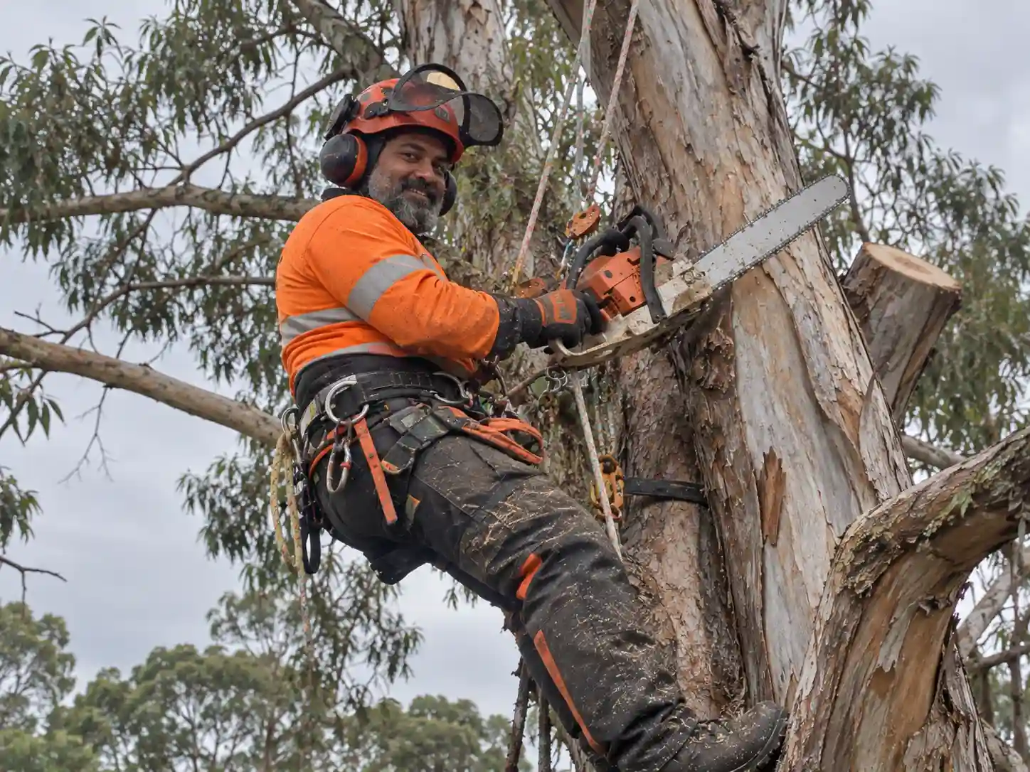 Why You Might Need Tree Lopper Insurance